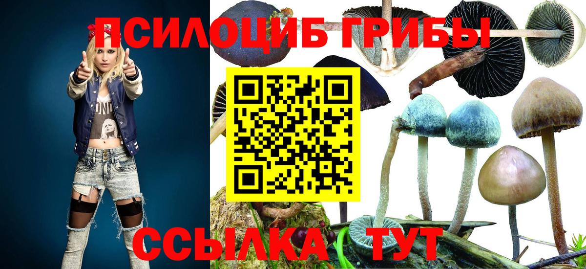 Галлюциногенные грибы мухоморы Махачкала